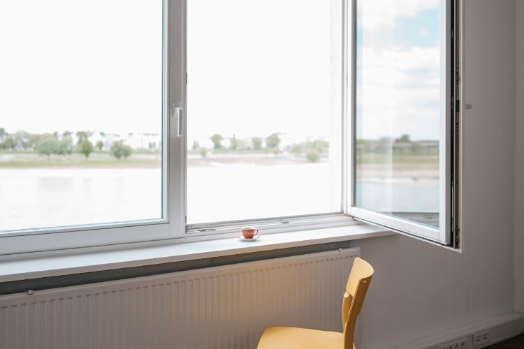 Schimmelbeseitigung 5